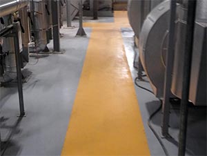 Cometh the Floor, Cometh the Resin Solution… - CG Flooring Systems